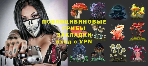 a pvp Заводоуковск